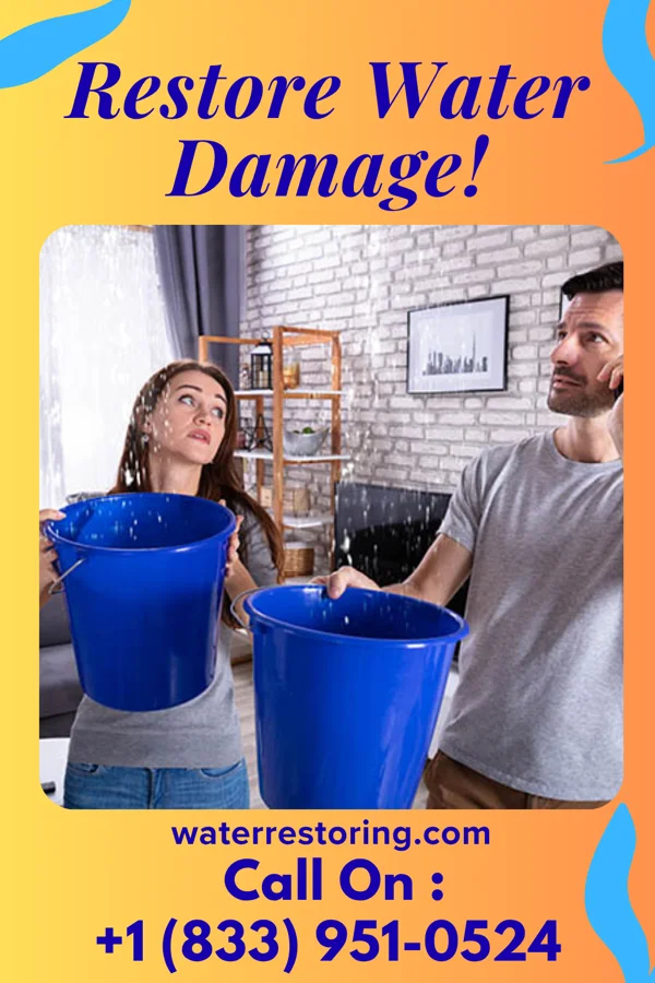 water restoration Platinum Water Removal Brothers Rockwood