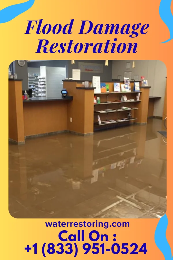 Flood Damage Restoration in Rockwood, VA