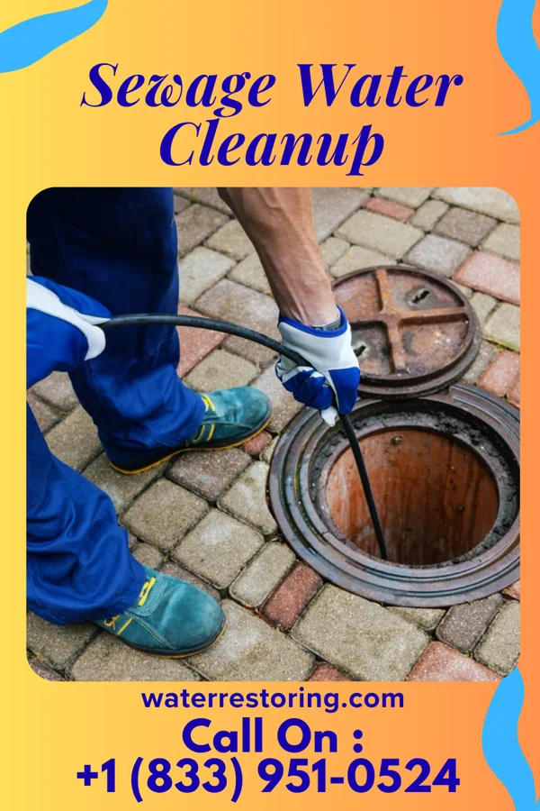 Sewage Water Cleanup in Rockwood, VA