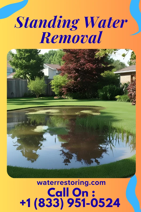 Standing Water Removal in Rockwood, VA